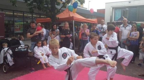 gendai-martial-arts-PB-Event-July-Urmston-P-July-2015